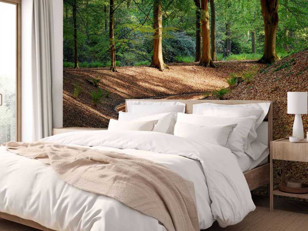 Ruisseau dans la forêt