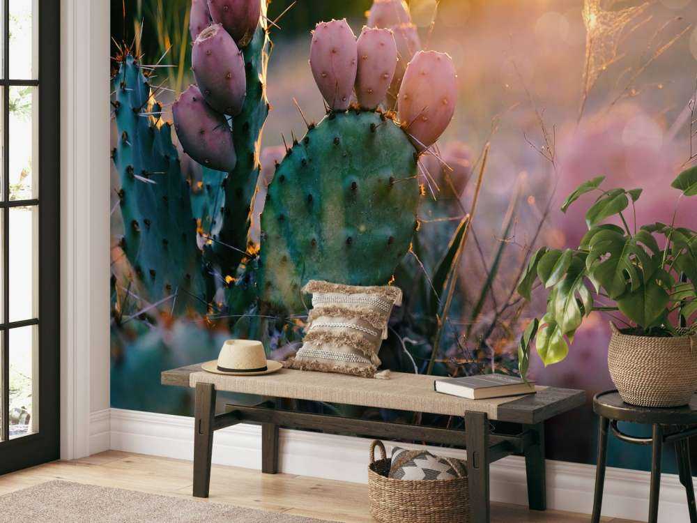 Cactus à fleurs