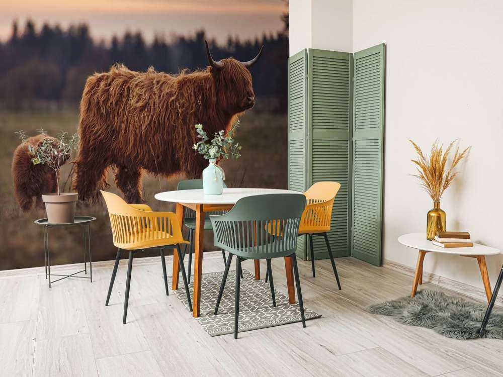 Les Highlands écossais dans la prairie