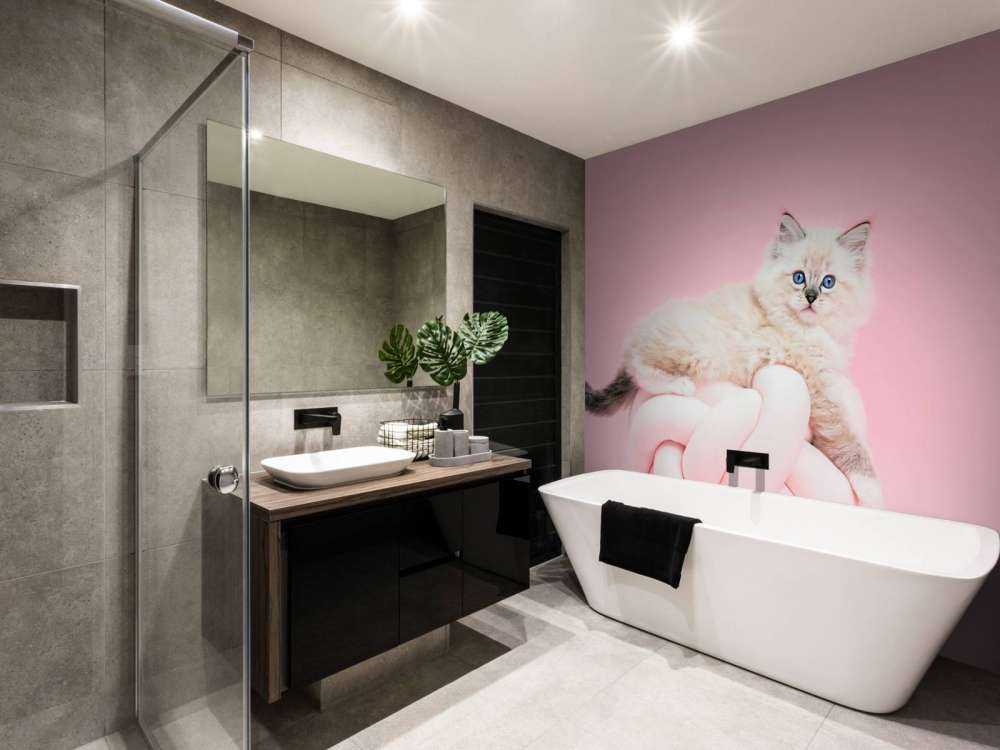 Chat blanc sur fond rose