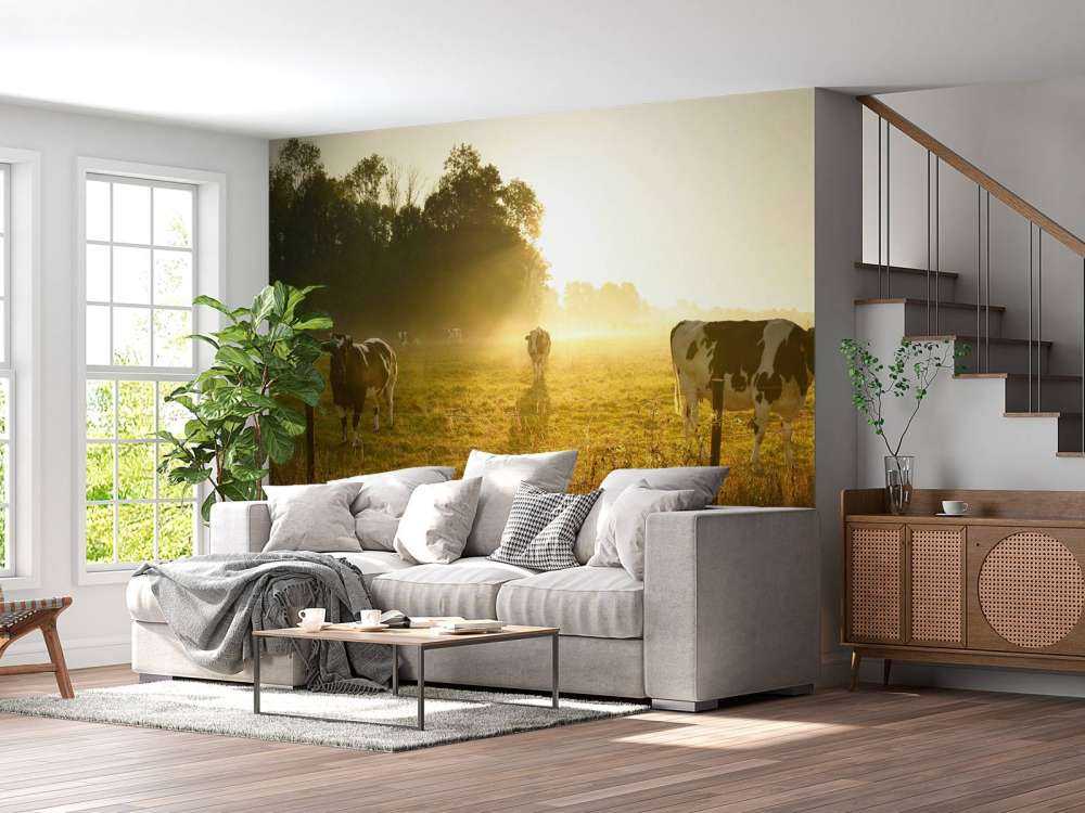 Vache au lever du soleil