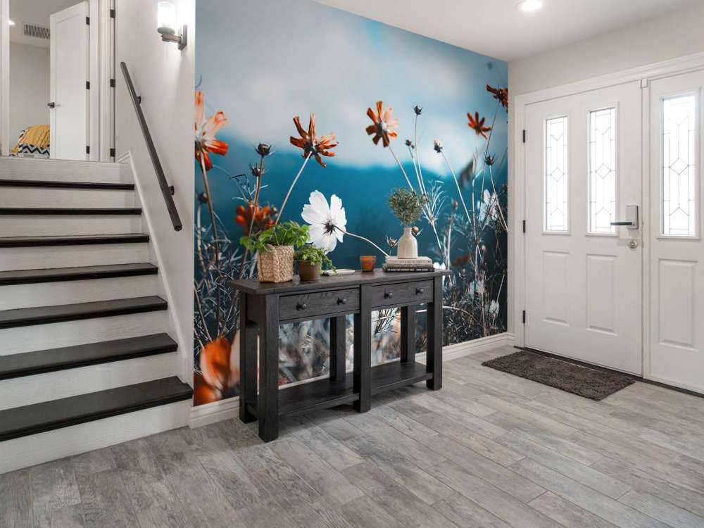 Le cosmos fleurit dans les champs