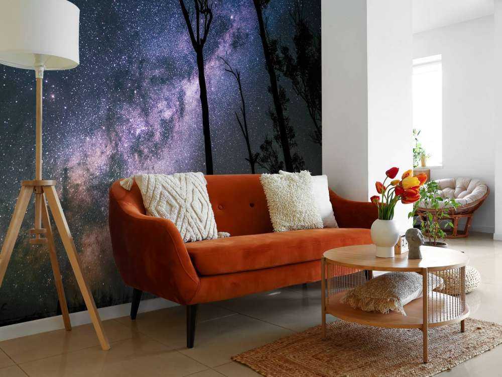 Des étoiles entre les arbres