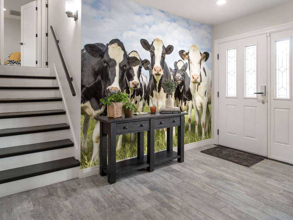 Troupeau de vaches