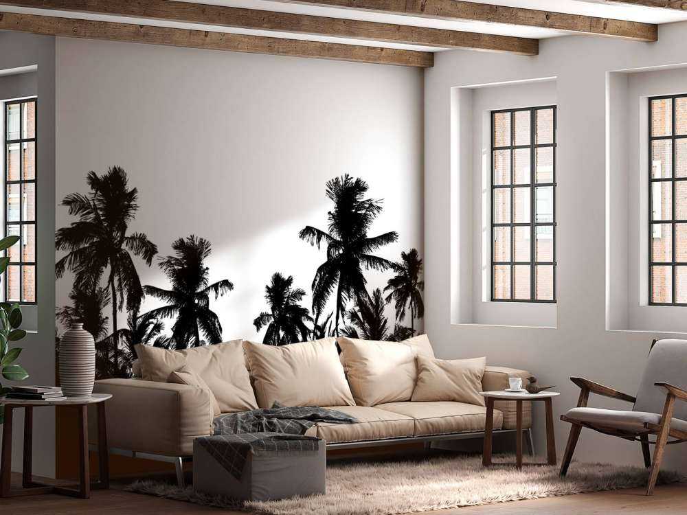 Silhouette de palmiers