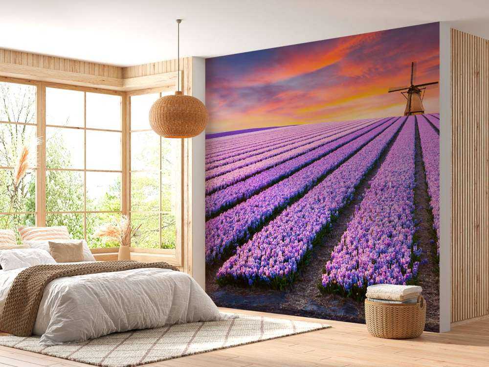 Muscari bleus