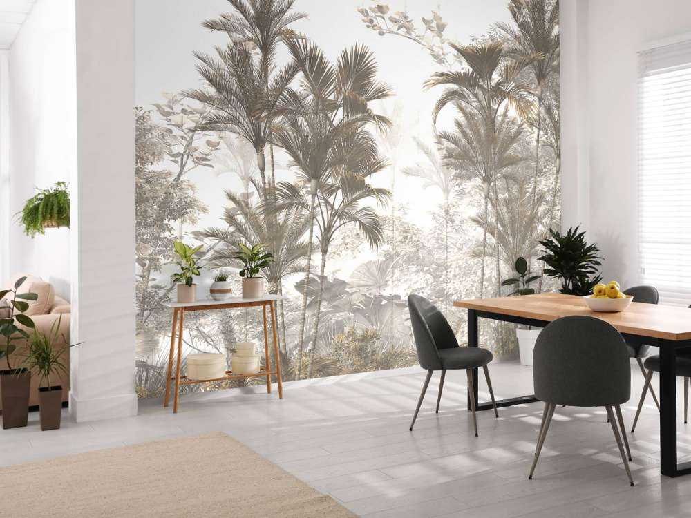 Lumière Solaire à travers les Palmiers