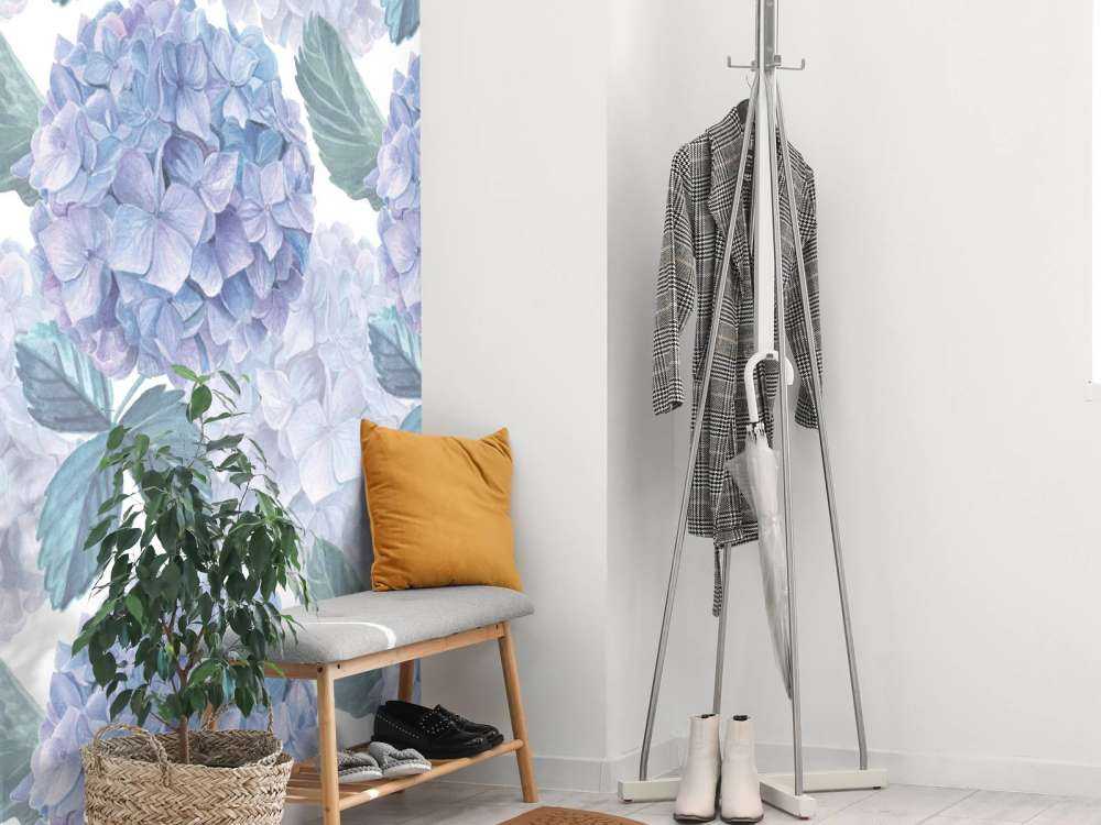 Rosée sur les Hortensias