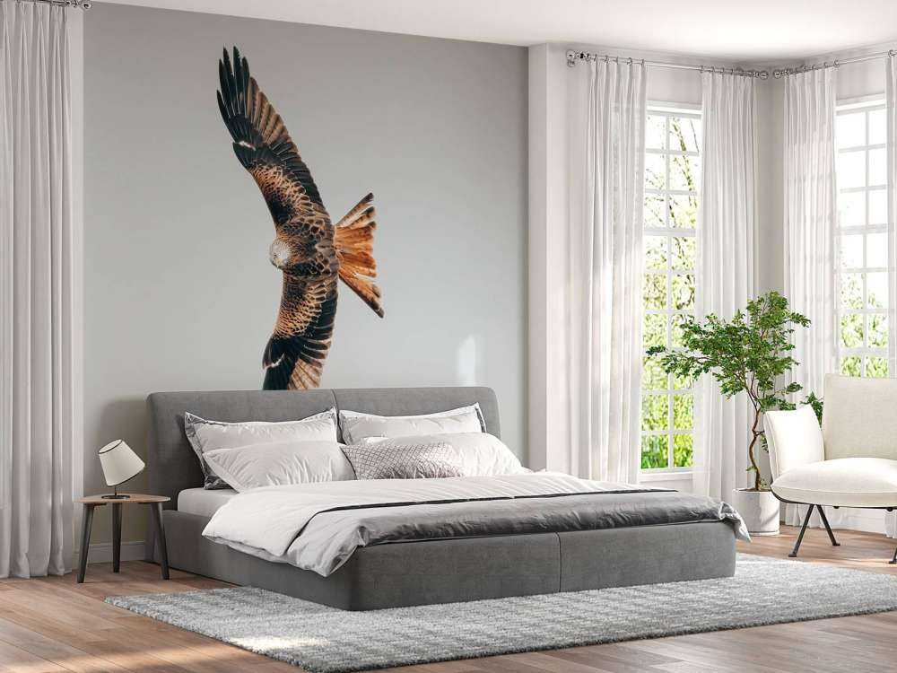 Cerf-volant rouge aux ailes déployées