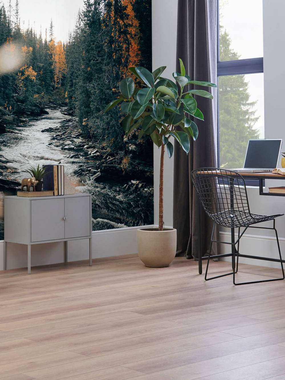 Forêt d'automne enchantée