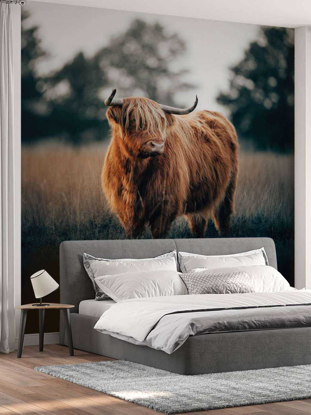 Portrait de Highlands