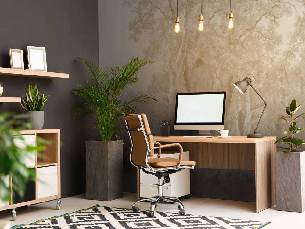 Paysage forestier panorama beige