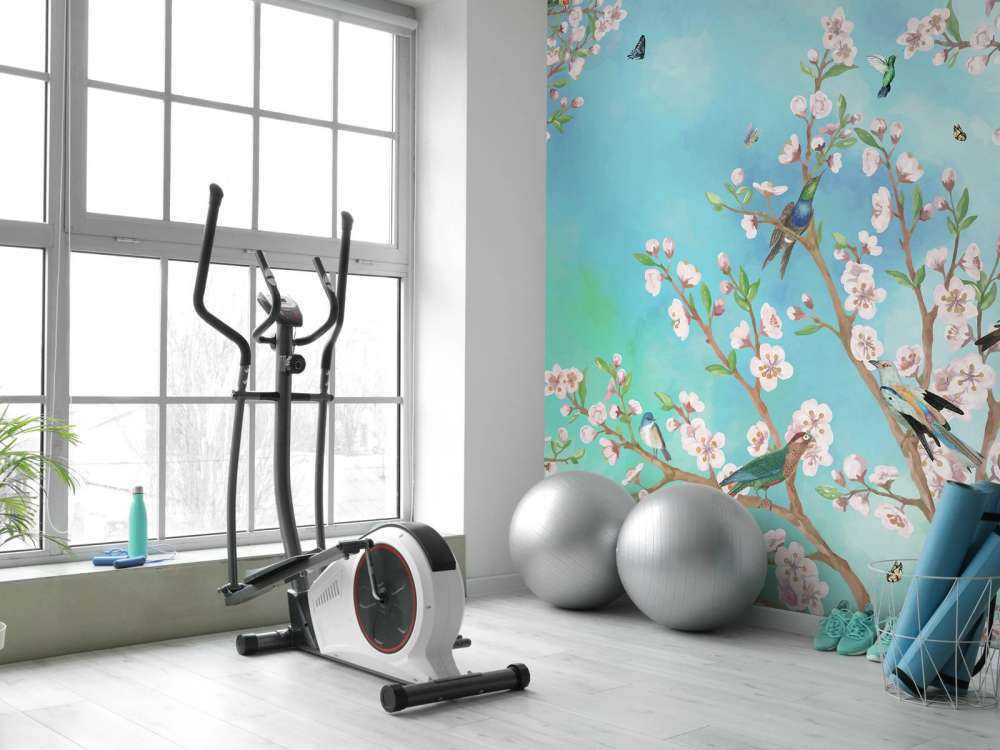 Sérénade de Sakura