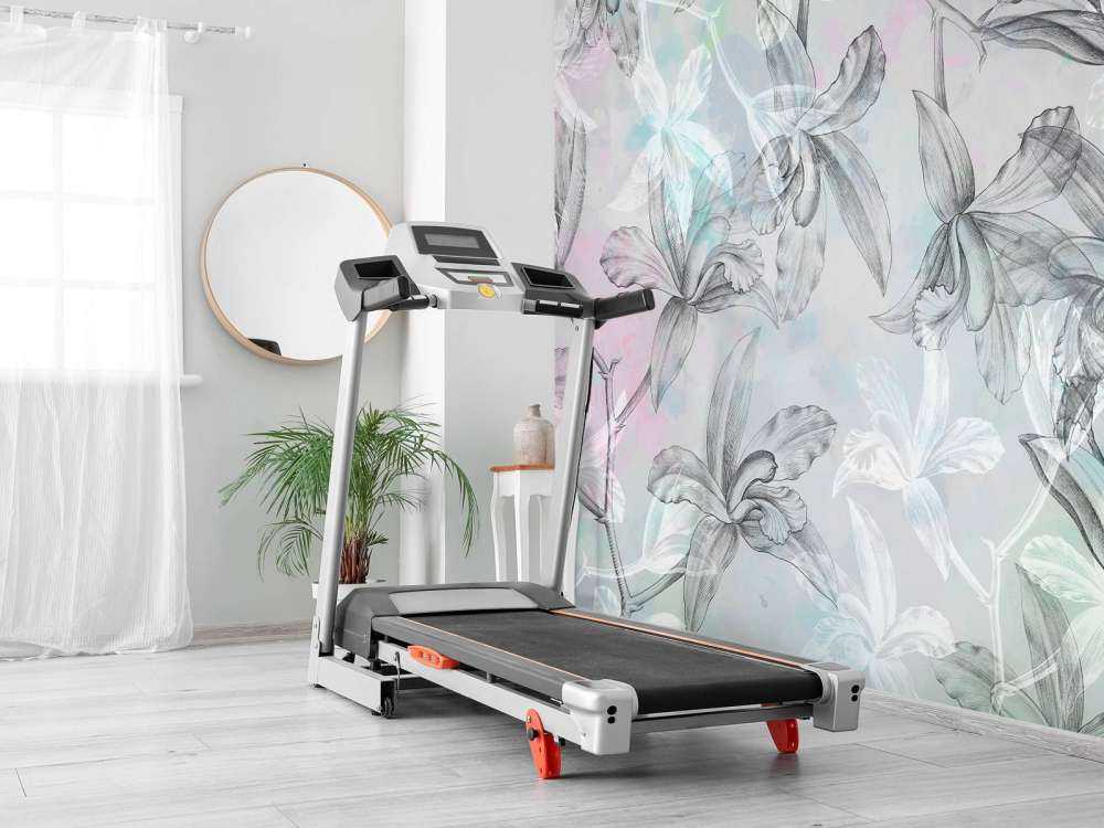 Rêverie d'orchidée bicolore verte