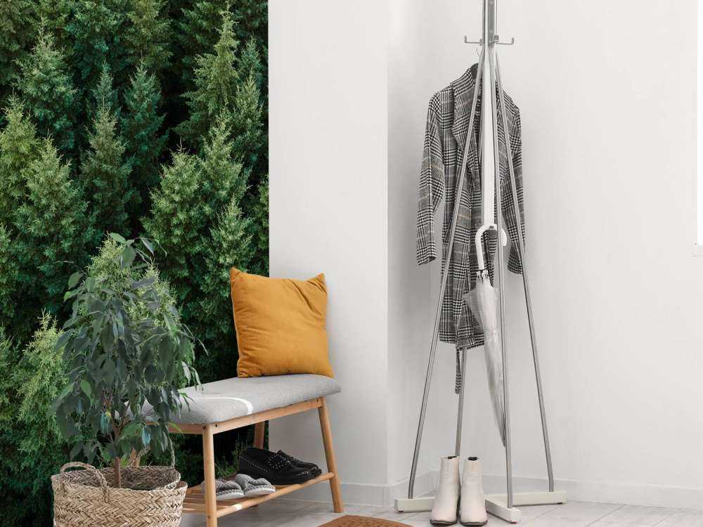 Les sapins de Douglas vus d'en haut