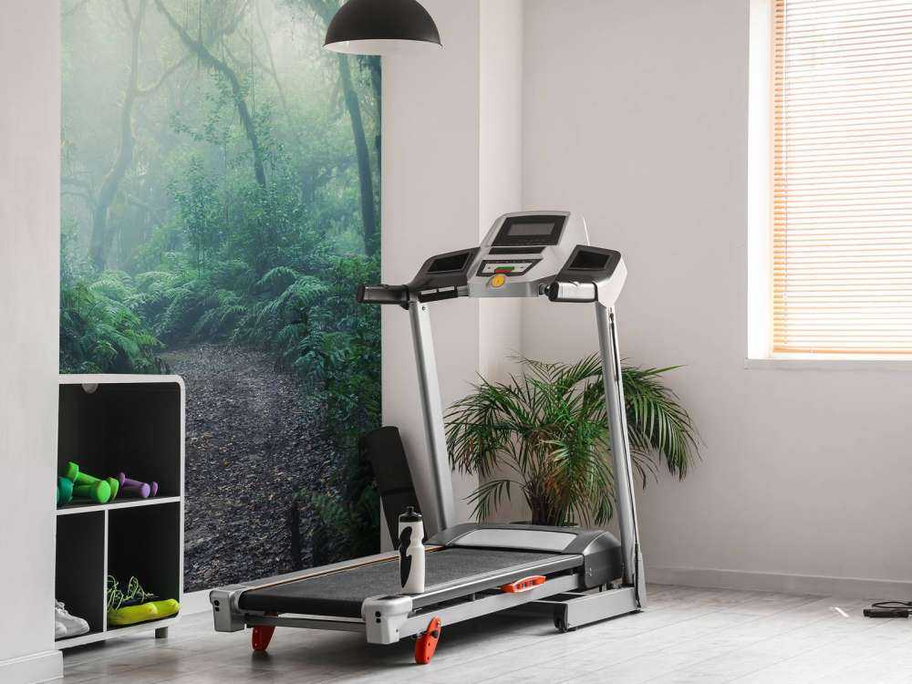 Forêt verte et brumeuse