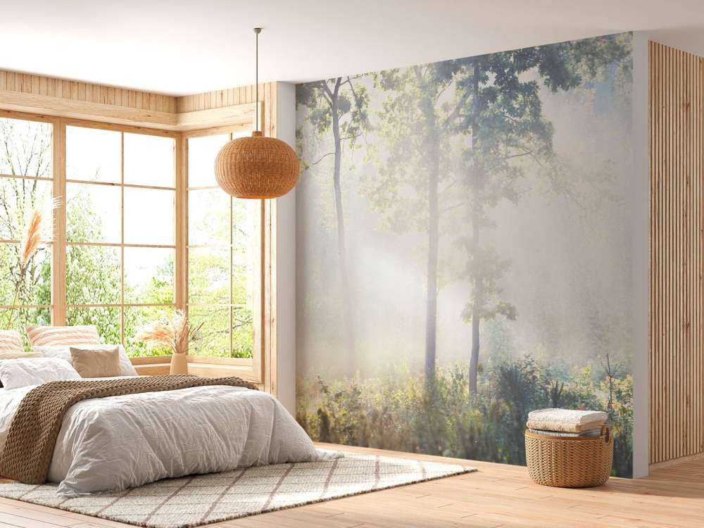 Une forêt mystérieuse