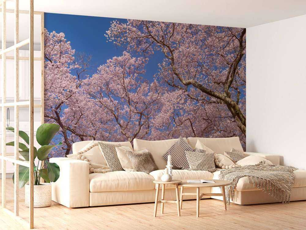 Fleurs avec un ciel bleu