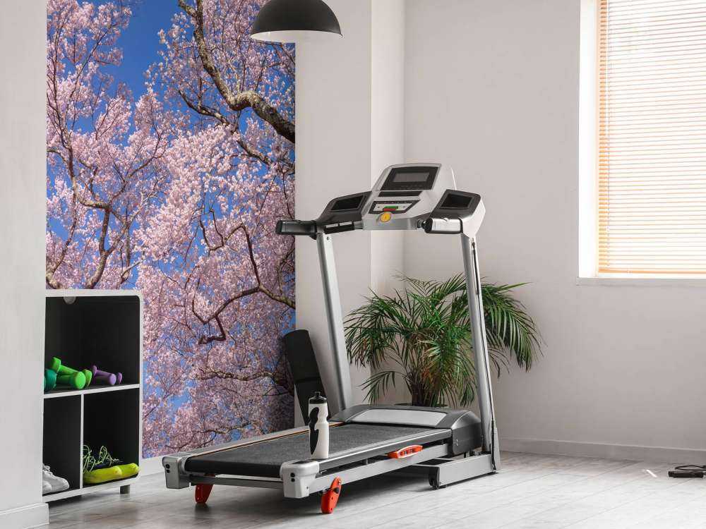 Fleurs avec un ciel bleu