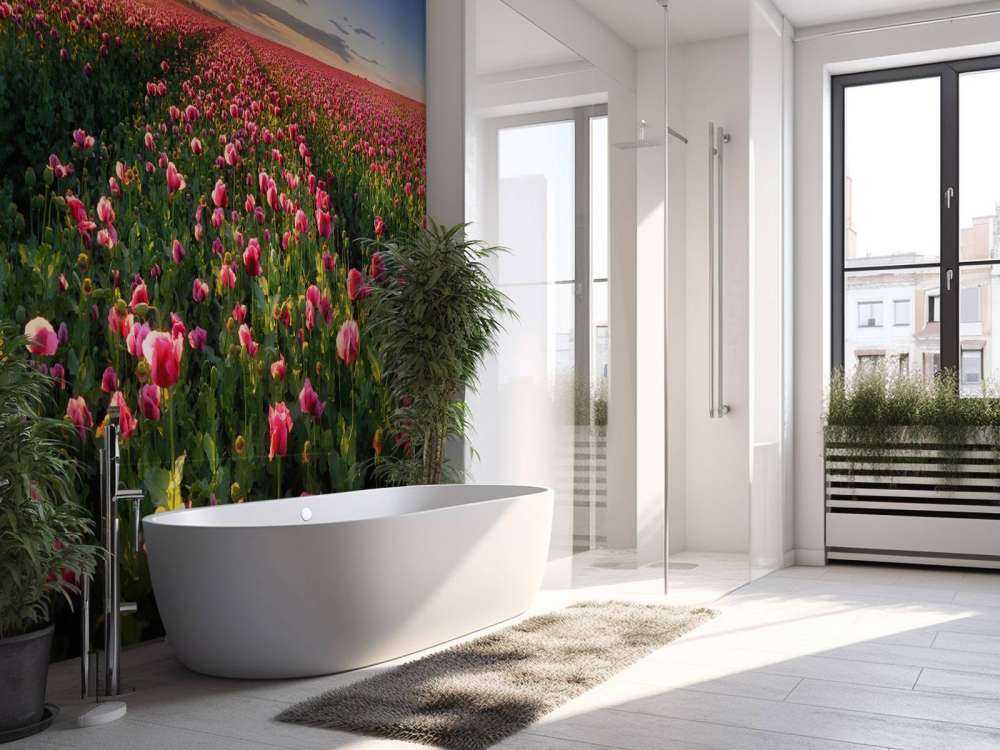 Champ de coquelicots roses