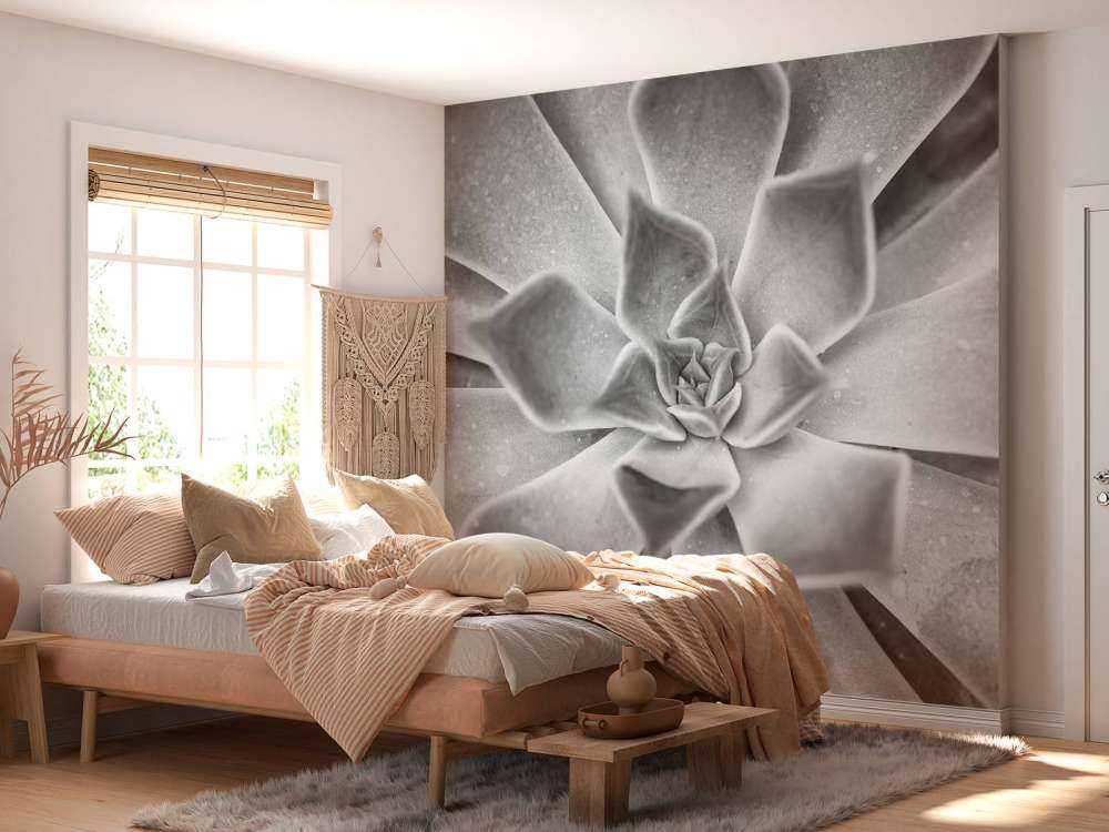 Succulent en noir et blanc