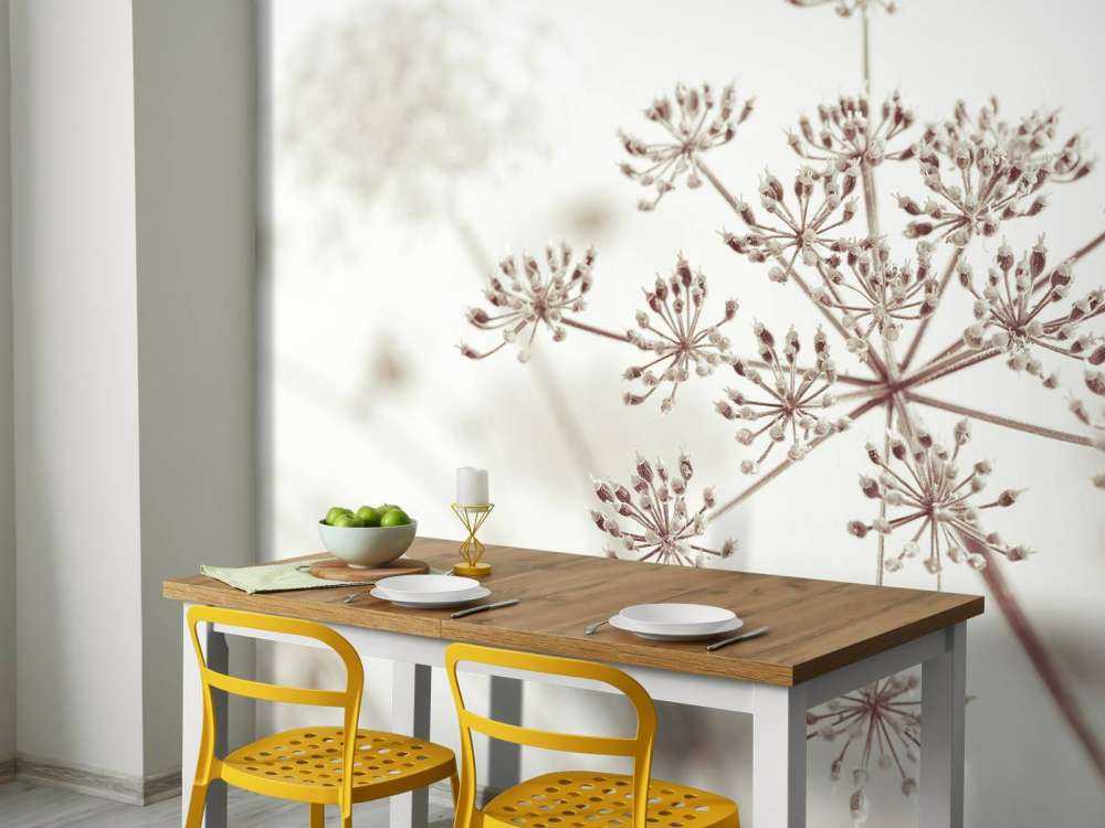 Cerfeuil sauvage en gros plan