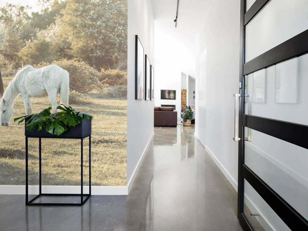 Chevaux dans la prairie