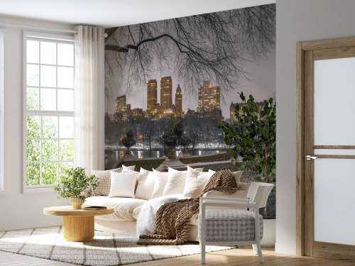 Central park et Manhattan