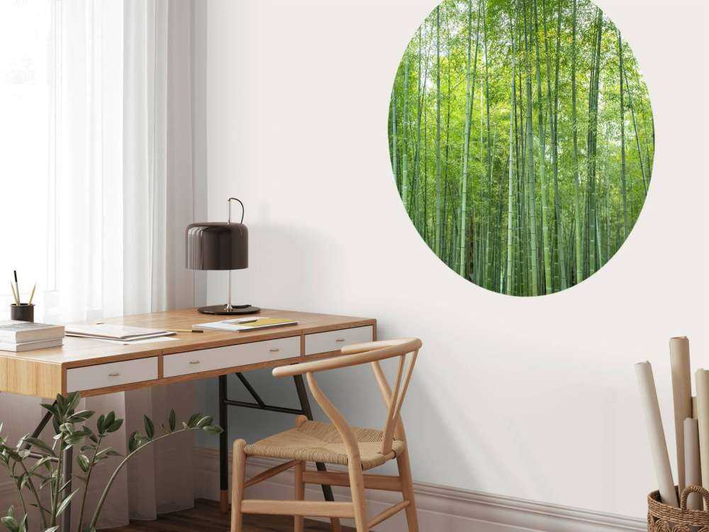 Forêt de bambous verts