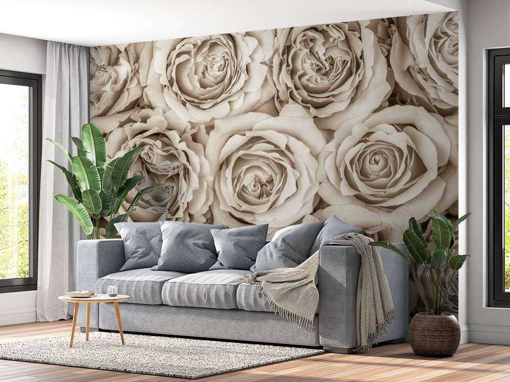 Fond d'écran de roses