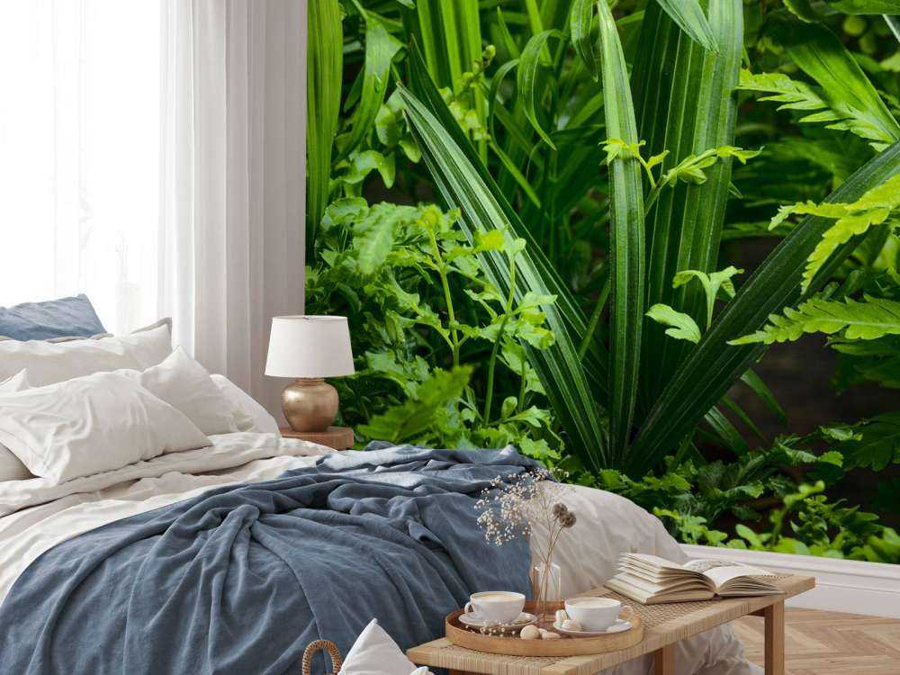 Panorama avec des plantes