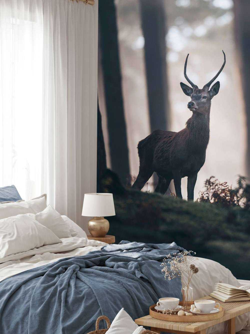 Cerf près des arbres