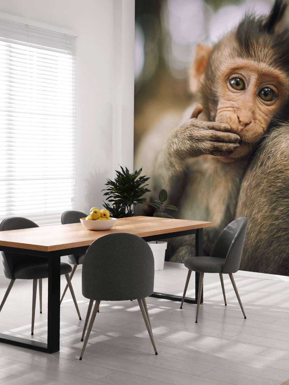 Gros plan d'un petit singe