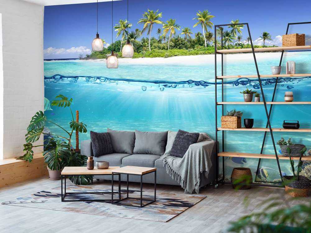 Île tropicale et récif corallien