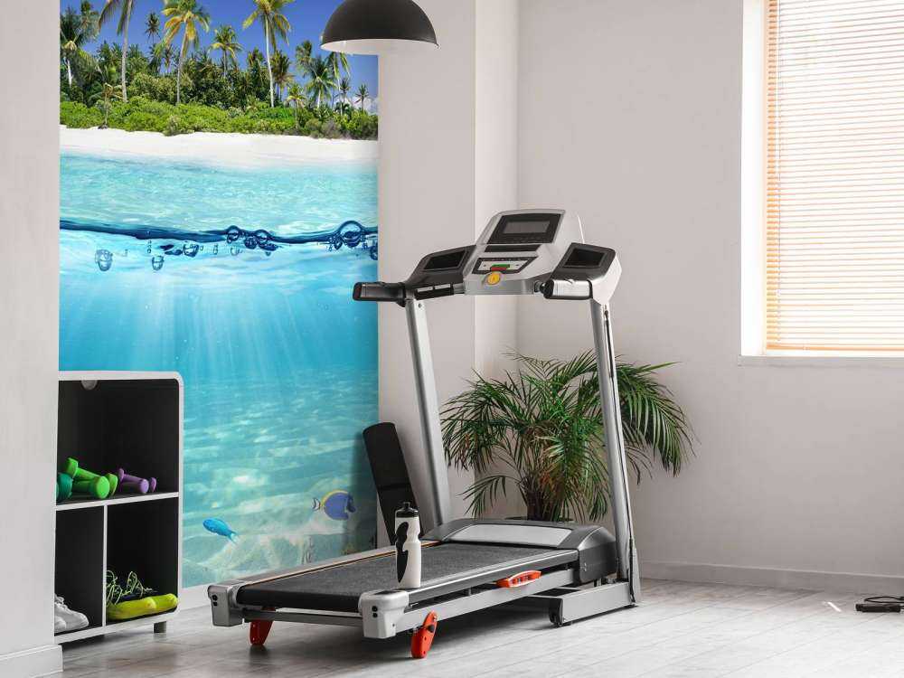 Île tropicale et récif corallien