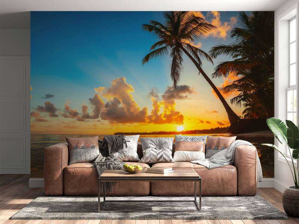 Coucher de soleil avec des palmiers