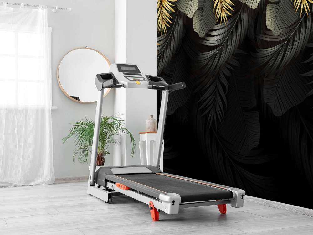 Feuilles sur fond sombre