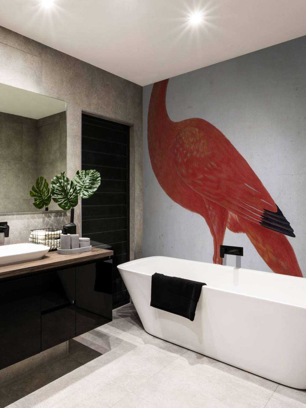 Ibis rouge à l'oeuf