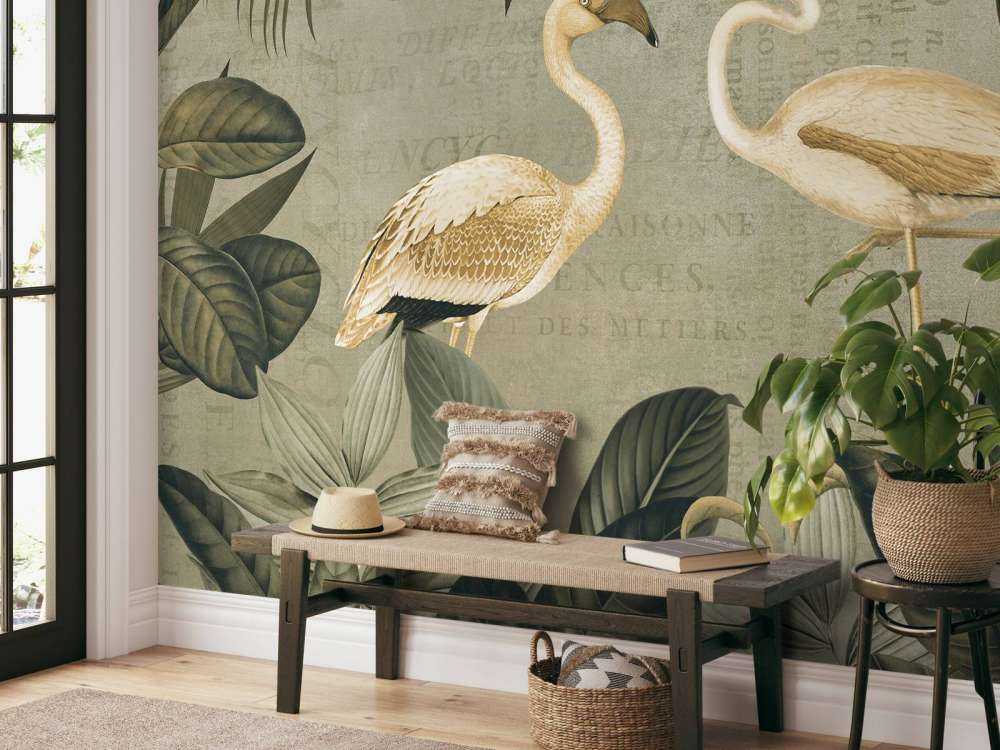 Oasis flamant vintage et ancien texte