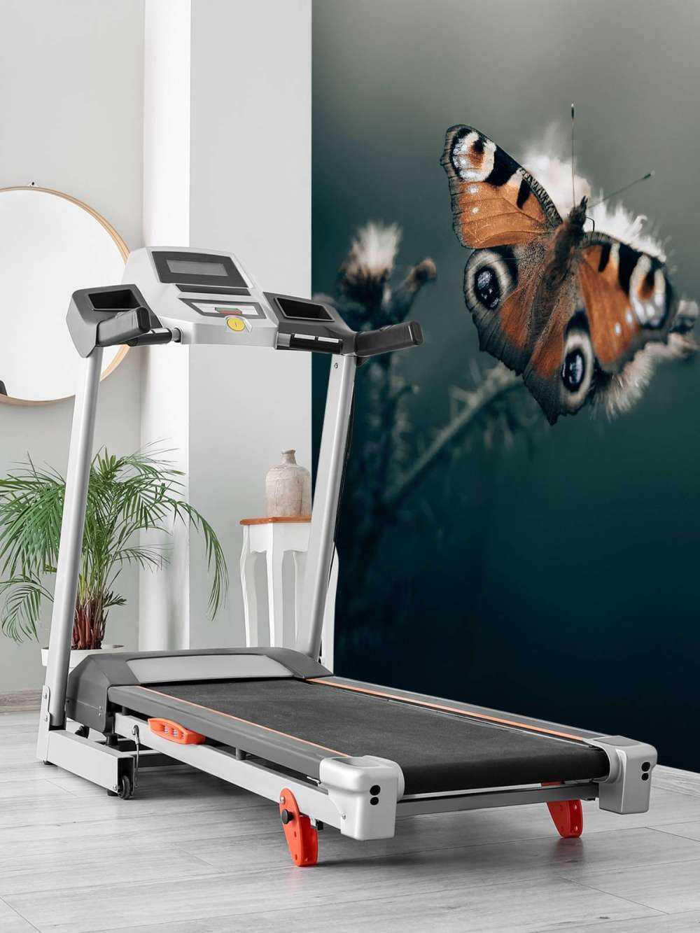 Modèle de la nature