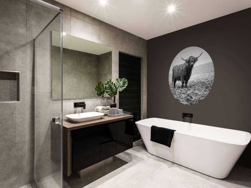 Le Highland écossais dans l'herbe