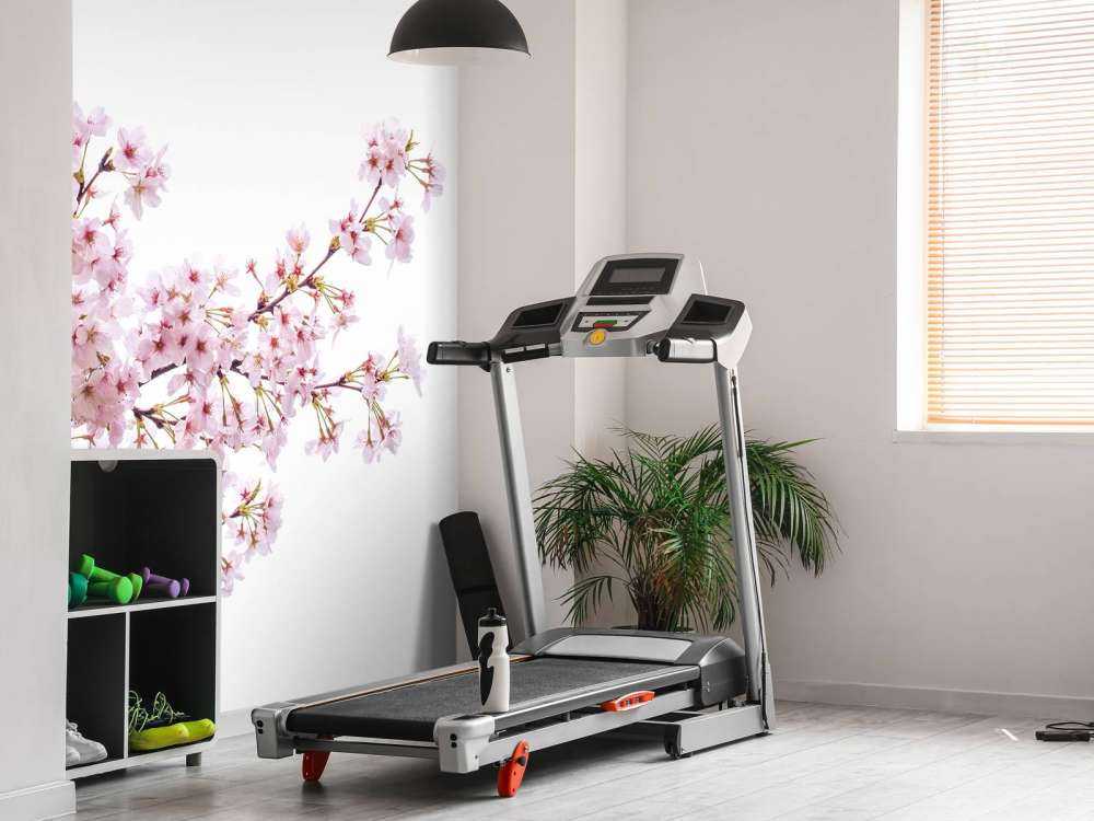 Branches de fleurs roses