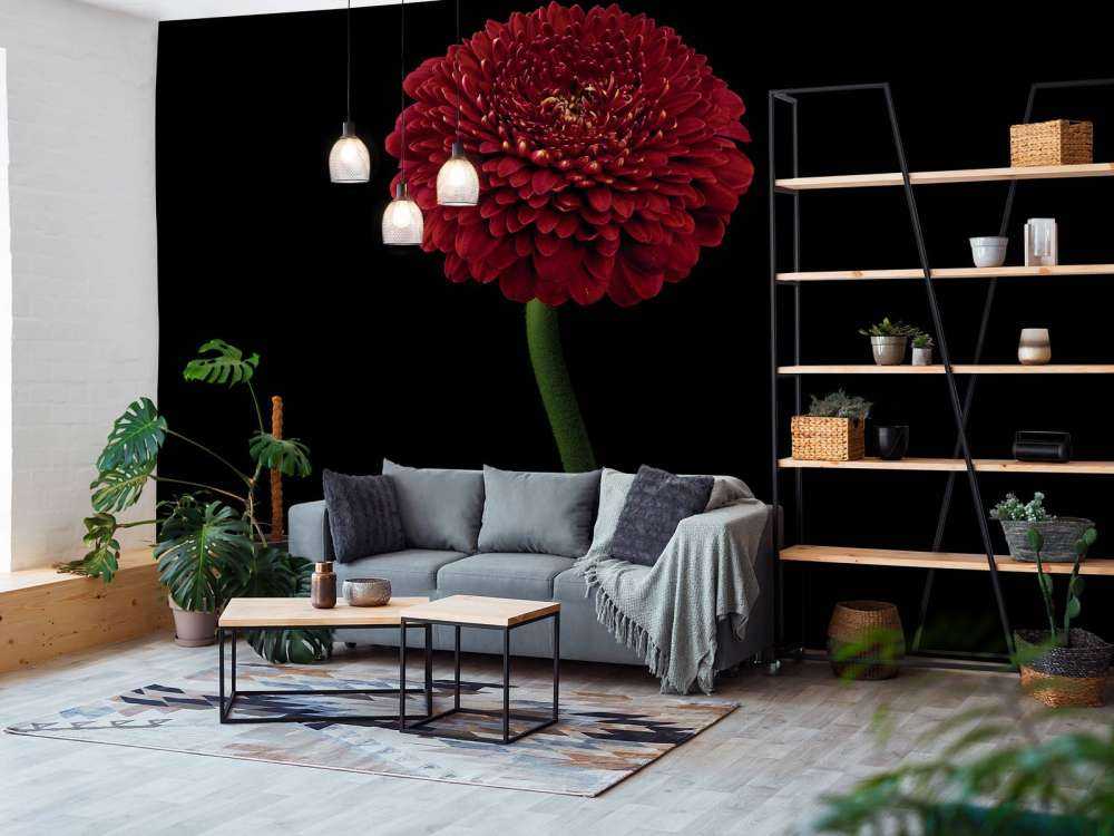 Fleur rouge sur la tige