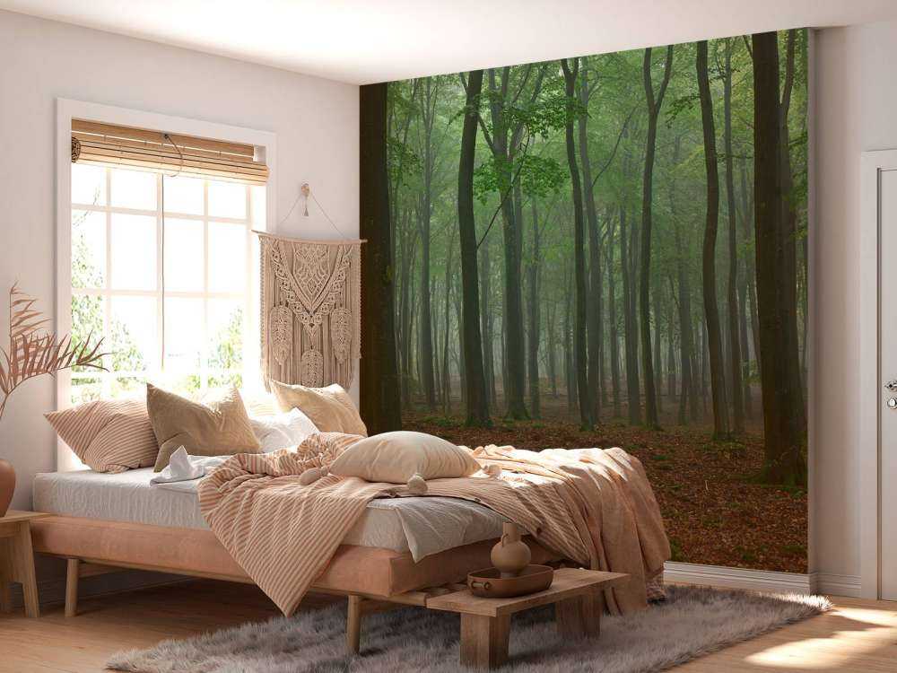 Brouillard dans la forêt