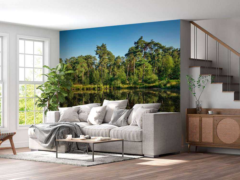 Réflexion dans les bosquets