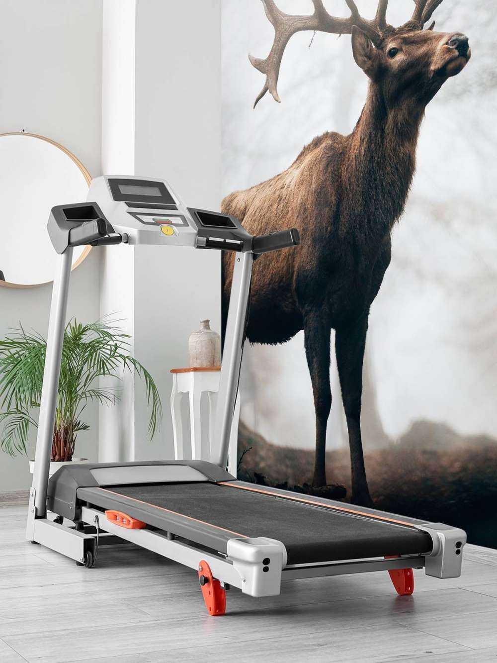 Des rennes dans le brouillard