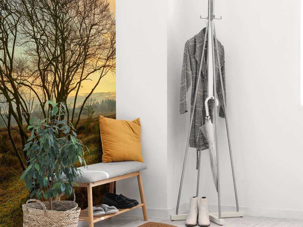 Lever de soleil sur la lande