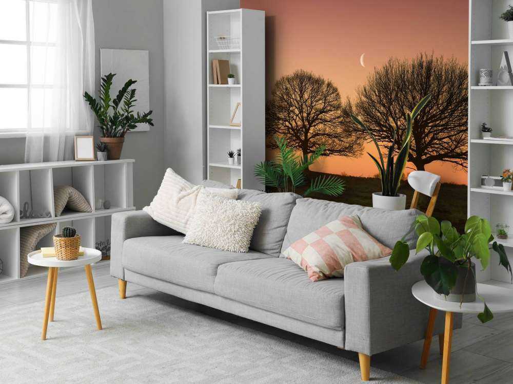 La lune entre les arbres