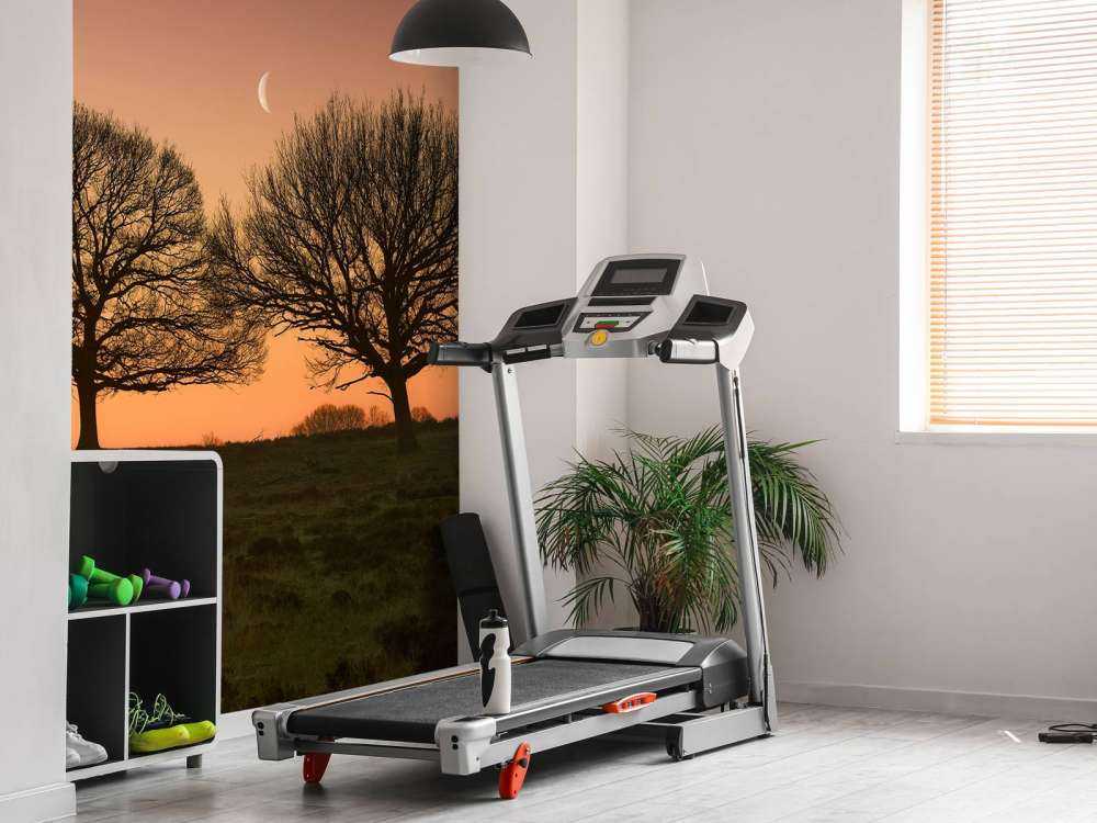 La lune entre les arbres