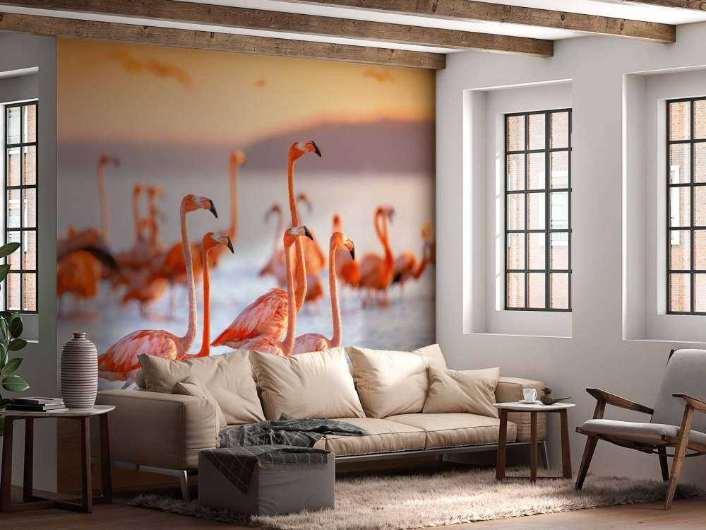 Flamants roses avec un regard fixe